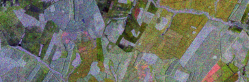 Visiona and Tesera Announce High-resolution Forest Inventories R&D Project