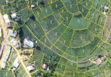 Land Reform, Data Revolution