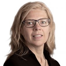 Geo Plus Bim不会制作Geobim