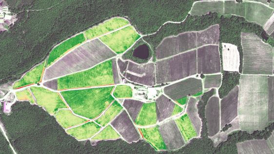 Wine Improves with Very High-resolution Satellite Imagery