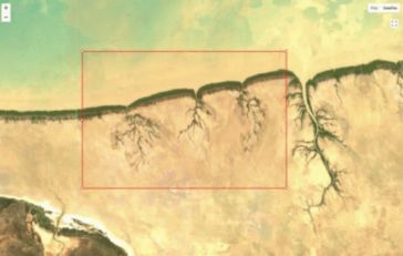 REMAP Harnesses Google and NASA Data for Ecosystem Mapping App