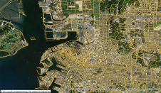 GfK发布亚洲数字地图