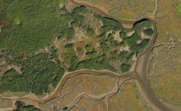 Terra Drone Europe赢得与美国陆军测量局的无人机测绘合同