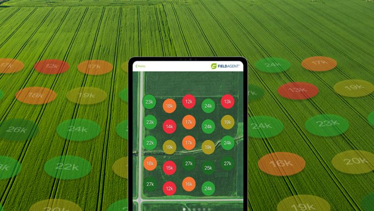 Sentera Announces Real-time Analytics with FieldAgent