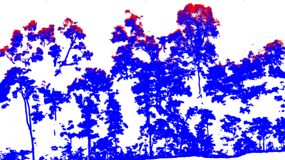 Upscaling of Terrestrial Laser Scanning through Fusion with Remote Sensing Data