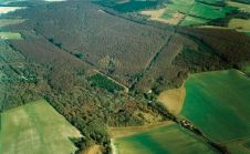 激光雷达揭示了从奇切斯特到阿伦德尔的迷失的罗马路