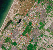 从太空查看：荷兰郁金香田地绽放