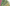 Consortium Starts High-resolution Layer Vegetated Land Cover Characteristics Project