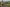 IN-FLIGHT Data与senseFly合作进行加拿大最大的BVLOS无人机试验