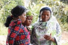 全球有权不安全有多大？