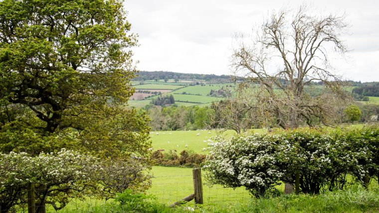 Lidar Data Helps Farmers Apply for Carbon Credits