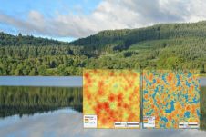 Bluesky Lidar地图用于监测致命树木疾病的传播