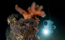 蓝眼机器人公司的水下无人机揭示了新的海洋深度