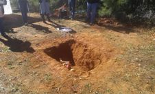 为Y 'allywood欢呼- IAFSM 2017