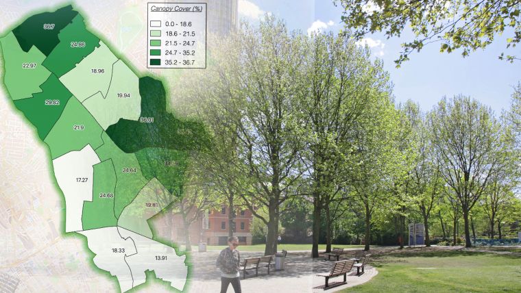 Bluesky Tree Map Reveals Tree Cover Across London’s Islington