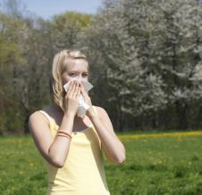 帮助花粉热患者的蓝天国家树形图
