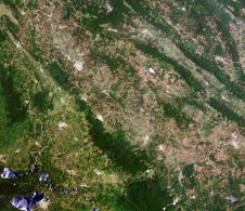 Ecometica将延伸到森林2020项目