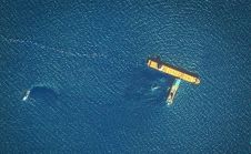 卫星图像捕捉到地中海重大石油泄漏