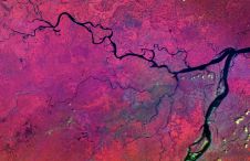可以直接Satellogic地球观测数据le via UP42 API