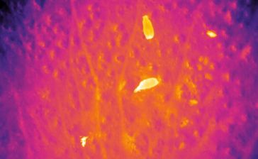 UAVs and Software Help Prevent Poaching