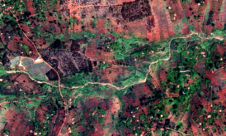 地球-i从英国政府获得270万英镑用于提高咖啡作物产量